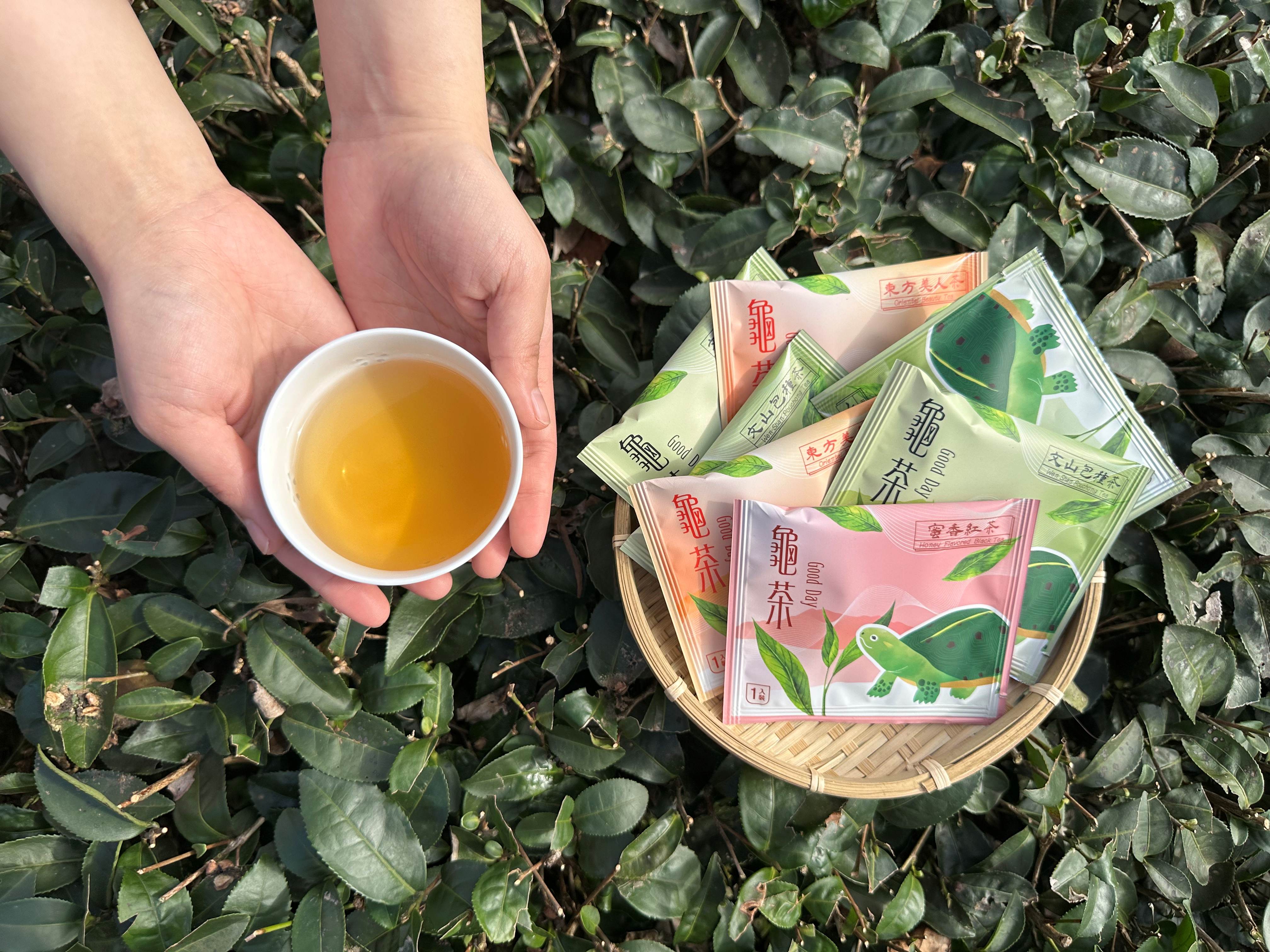 龜茶茶包(照片來源:新北市石碇區永安里辦公處)_0